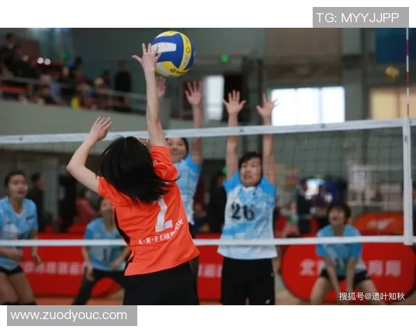 赵伟独家分享排球心得与技巧助你提升竞技水平与团队协作能力